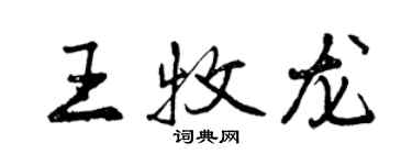 曾庆福王牧龙行书个性签名怎么写