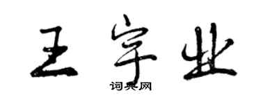曾庆福王宇业行书个性签名怎么写