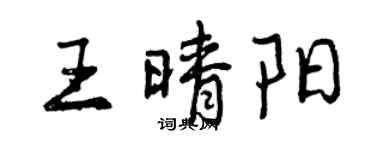 曾庆福王晴阳行书个性签名怎么写