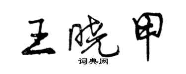 曾庆福王晓甲行书个性签名怎么写