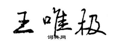 曾庆福王唯极行书个性签名怎么写