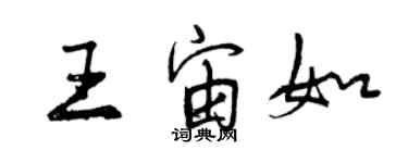 曾庆福王宙如行书个性签名怎么写