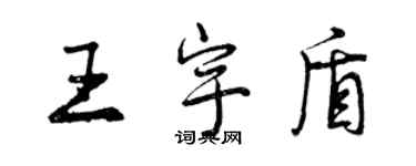 曾庆福王宇盾行书个性签名怎么写