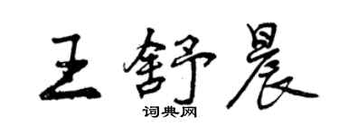 曾庆福王舒晨行书个性签名怎么写