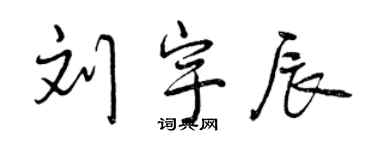 曾庆福刘宇辰行书个性签名怎么写