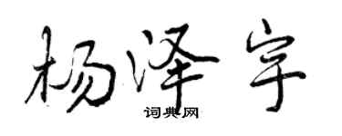 曾庆福杨泽宇行书个性签名怎么写