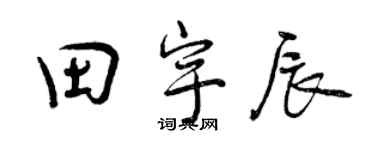 曾庆福田宇辰行书个性签名怎么写