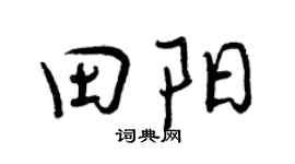 曾庆福田阳行书个性签名怎么写
