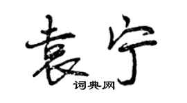 曾庆福袁宁行书个性签名怎么写
