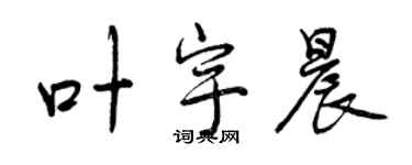 曾庆福叶宇晨行书个性签名怎么写