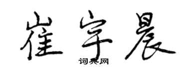 曾庆福崔宇晨行书个性签名怎么写