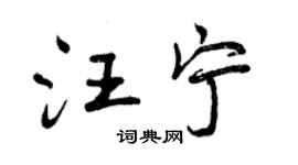 曾庆福汪宁行书个性签名怎么写