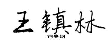 曾庆福王镇林行书个性签名怎么写