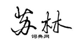曾庆福苏林行书个性签名怎么写