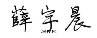 曾庆福薛宇晨行书个性签名怎么写