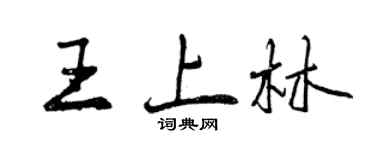 曾庆福王上林行书个性签名怎么写