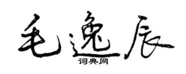 曾庆福毛逸辰行书个性签名怎么写