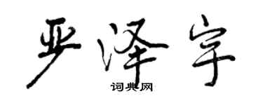 曾庆福严泽宇行书个性签名怎么写