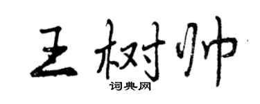 曾庆福王树帅行书个性签名怎么写