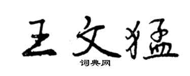 曾庆福王文猛行书个性签名怎么写