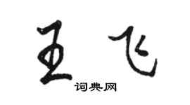 骆恒光王飞行书个性签名怎么写