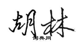 骆恒光胡林行书个性签名怎么写