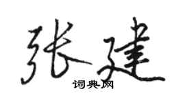 骆恒光张建行书个性签名怎么写