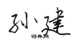 骆恒光孙建行书个性签名怎么写
