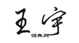 骆恒光王宇行书个性签名怎么写