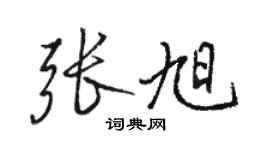 骆恒光张旭行书个性签名怎么写
