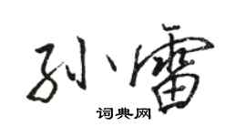 骆恒光孙雷行书个性签名怎么写