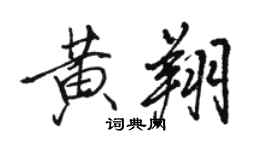 骆恒光黄翔行书个性签名怎么写