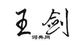 骆恒光王剑行书个性签名怎么写