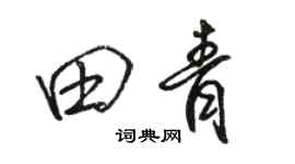 骆恒光田青行书个性签名怎么写
