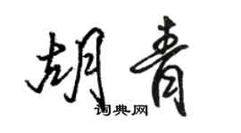 骆恒光胡青行书个性签名怎么写