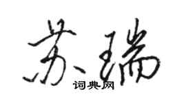 骆恒光苏瑞行书个性签名怎么写