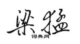 骆恒光梁猛行书个性签名怎么写