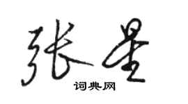骆恒光张星行书个性签名怎么写