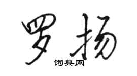 骆恒光罗扬行书个性签名怎么写