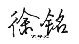 骆恒光徐铭行书个性签名怎么写