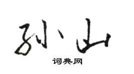 骆恒光孙山行书个性签名怎么写