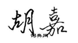 骆恒光胡嘉行书个性签名怎么写