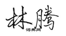 骆恒光林腾行书个性签名怎么写
