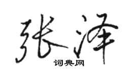 骆恒光张泽行书个性签名怎么写