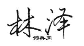 骆恒光林泽行书个性签名怎么写