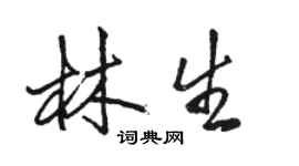 骆恒光林生行书个性签名怎么写