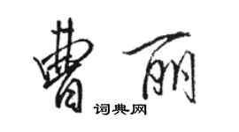 骆恒光曹丽行书个性签名怎么写