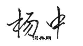 骆恒光杨中行书个性签名怎么写