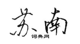 骆恒光苏南行书个性签名怎么写