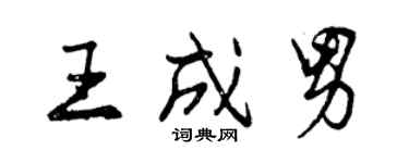 曾庆福王成男行书个性签名怎么写